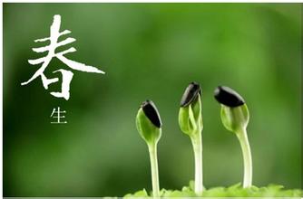 如(rú)何結合禦髮膳養生(shēng)更佳？