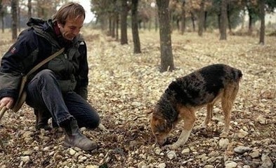 1468486297832450.jpg t012f4938ee20d5673e.jpg